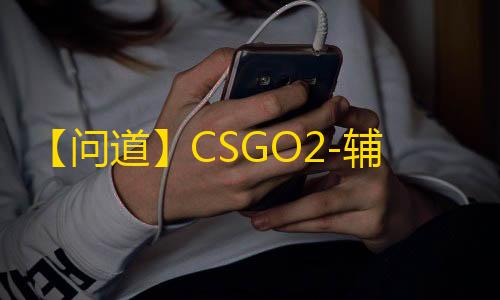 【问道】CSGO2-辅助