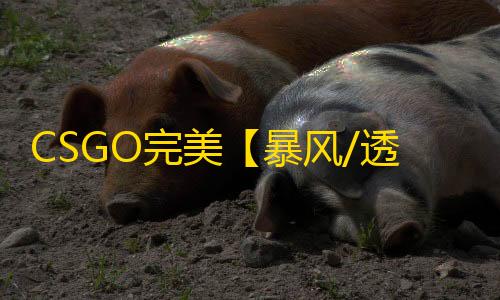 CSGO完美【暴风/透饰/梓喵/仅支持完美平台】辅助