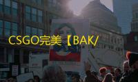 CSGO完美【BAK/透饰/梓喵/支持完美平台】辅助